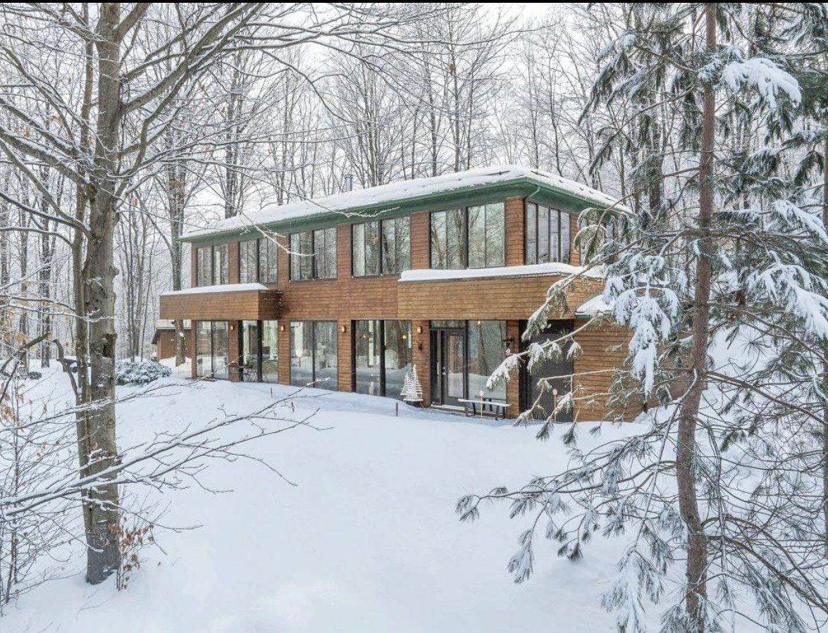 BOSCO sous la neige, la forêt silencieuse tout autour.