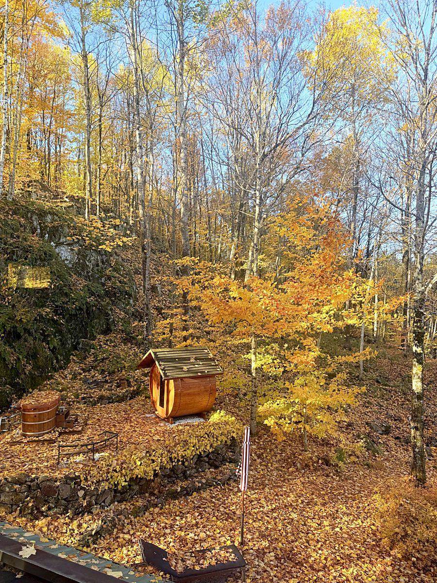 Le sauna sous un érable doré.