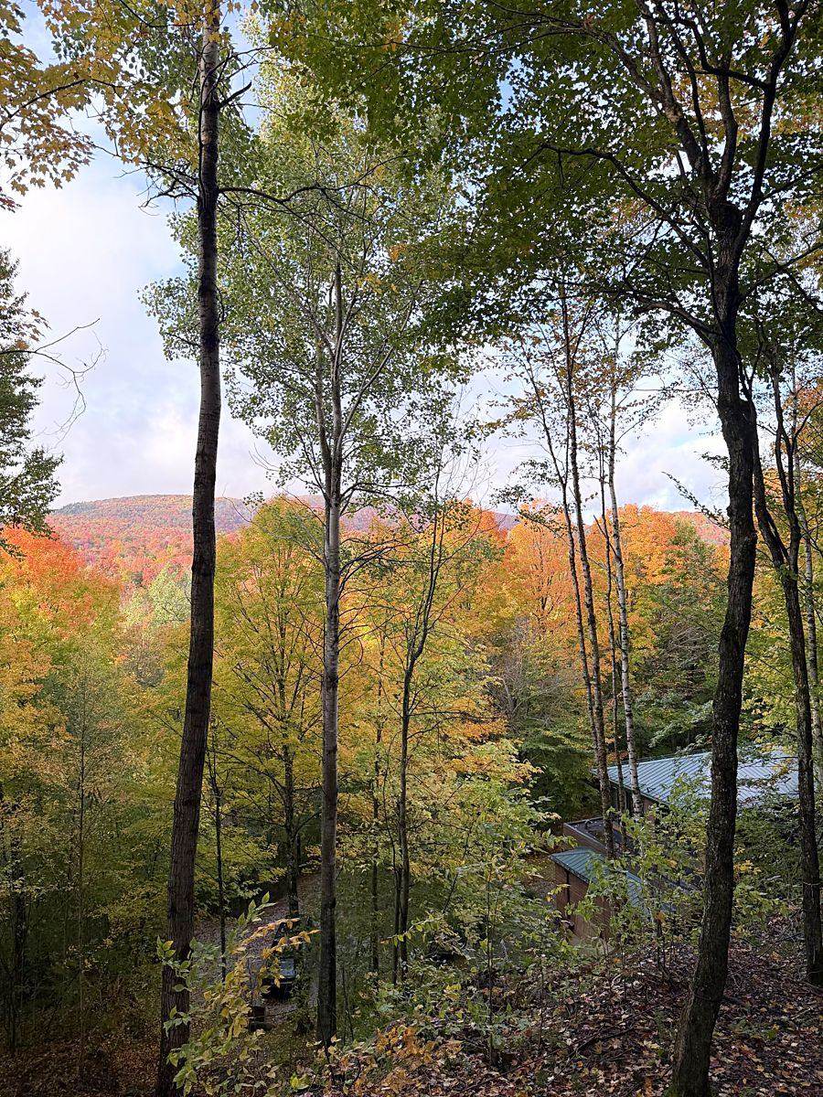 La vue sur les couleurs d’automne depuis le chalet.